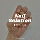 안산 선부동 꼼꼼한 네일샵 :: 네일솔루션 🌼
