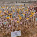 서암대로 이미지