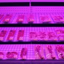 남포식당 이미지