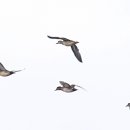 주남저수지 이미지