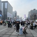 거북이 | 2026 서울 유아차런 거북이반 후기