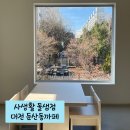 돌샘유치원 | 대전 둔산동 카페 - 사생활 돌샘점