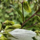 버스정류장 옆 이미지