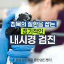 광주당 티스토리