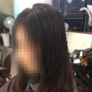 아리아헤어 이미지