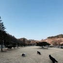 귀래630펜션 이미지