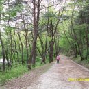 상주 남장사 일주문 이미지