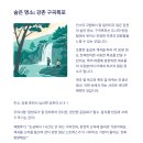 베스트루트