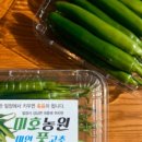 건강미인스토어