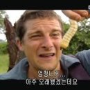 내가만약 이미지