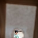 고구려태권도장 이미지