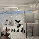 수인래쉬