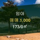 e편한2차공인중개사사무소 이미지