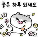 경희대 튼튼태권도 이미지