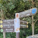 용원 교차로 | 남파랑길 7,6,5코스 역방향(자차+대중교통)