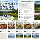 나인브릿지