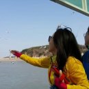 한국에니어그램교육연구소