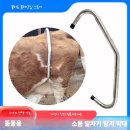 고정축산 이미지