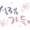 함초롬플라워 이미지