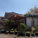 운문사정류장 | 청도 운문사 카페가비 부모님 모시고 가기 좋은 카페 주차 편한 힐링 카페