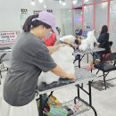 논산애견미용학원 이미지