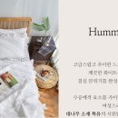 찬스바이오 이미지