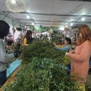 원복농장 이미지