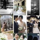 아이빈스드레스 | W7💍. 웨딩스냅 대전 프리웨딩스냅 머무른 스냅 계약 후기