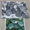 기초 서양화 이미지