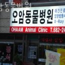 오암동물병원 이미지