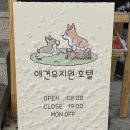 콩자반 애견유치원 이미지