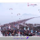 진도메디칼 이미지