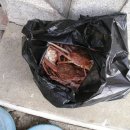 칠형제곰치국 이미지