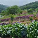 욕지별장 이미지