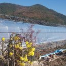 희석목장 이미지