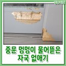 멍멍이가족 | 중문 멍멍이 물어뜯은 자국 없애기