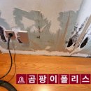 깨끗한환경 이미지