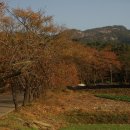 죽림식당 이미지