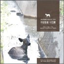 서울시 야생동물 구조센터 이미지