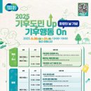 31 이미지