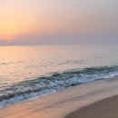 동호해변 이미지