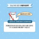 캠프아이 이미지