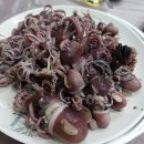 양희회식당 이미지