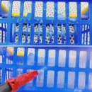 송정초교병설유치원 이미지