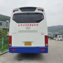 뉴부산관광매일투어