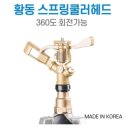 다파몰