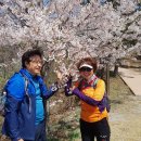 구룡포초등학교 이미지