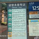 금릉역 버스정류장 Daum카페