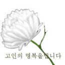 경사 애사 후기 이미지