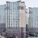 덕진 거제의봄 프리미엄 이미지